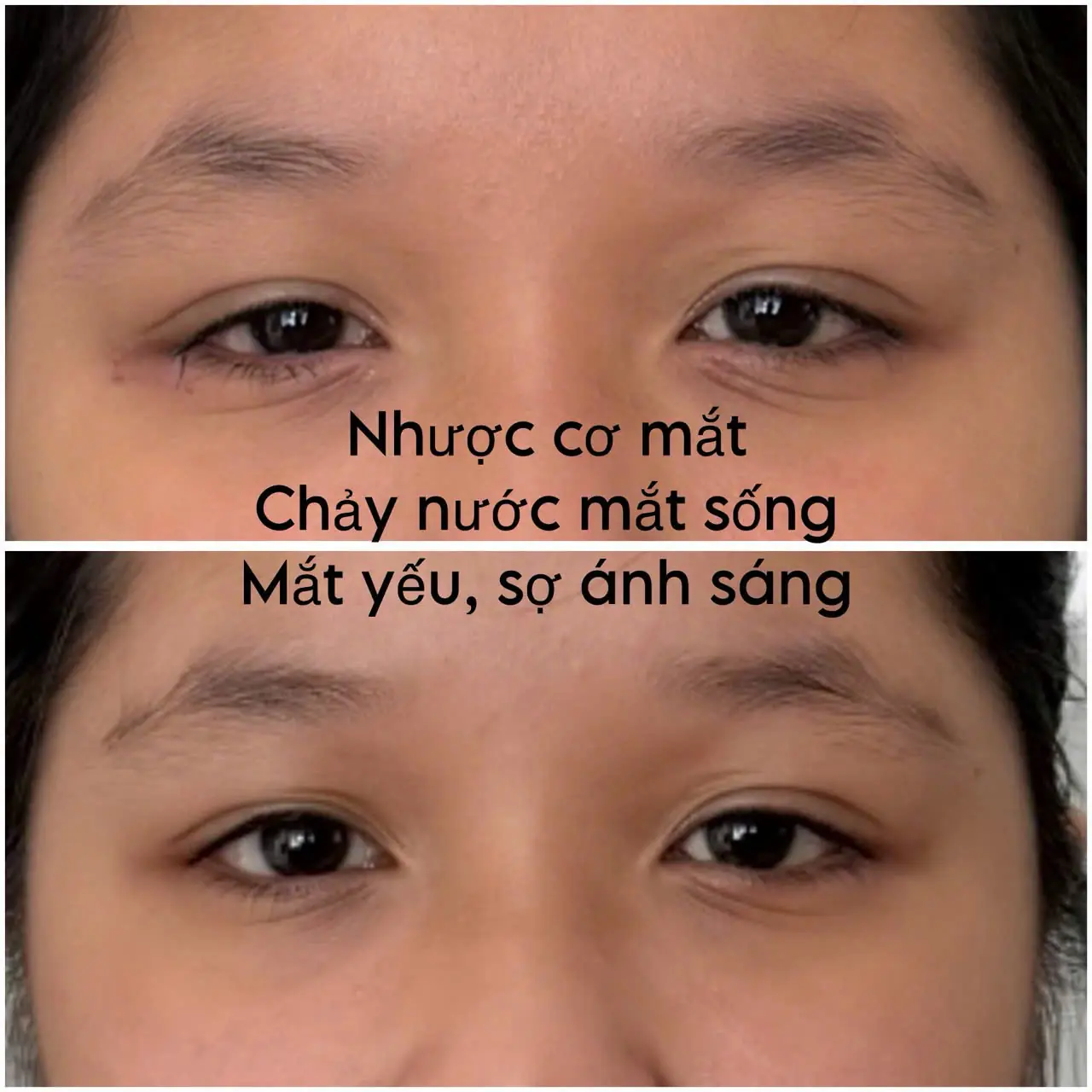 Danh mục album